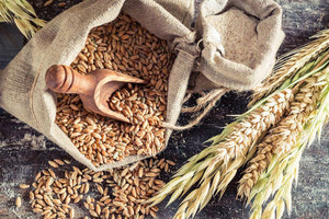 διατροφή - κριθάρι