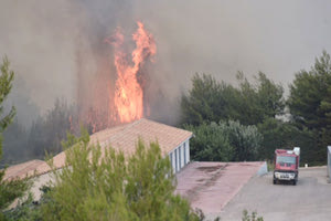 ΠΥΡΚΑΓΙΑ : Στις φλόγες παραδόθηκαν πολλές περιοχές της χώρας