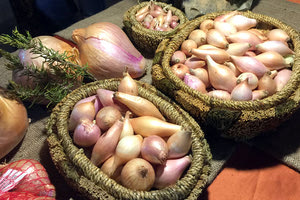 2η Γιορτή Κρεμμυδιού στους Κασσάνους 