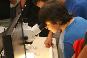 “ΒΡΑΔΙΑ ΕΡΕΥΝΗΤΗ” ΣΤΟ ΙΤΕ