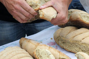 ΚΑΣΤΑΜΟΝΙΤΣΑ - Γιορτή εφτάζυμου και Φεστιβάλ Παράδοσης