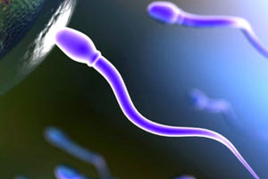 σπερματοζωάρια