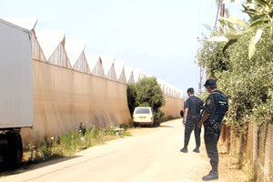 Άγριο έγκλημα δίπλα στο θερμοκήπιο