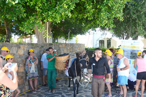 Οι τουρίστες στον τρύγο!