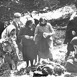 Δείτε όλα τα άρθρα από το χρήστη Ντανιέλλα Μαρούδα