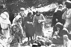 Βιαννος 1943 ολοκάυτωμα