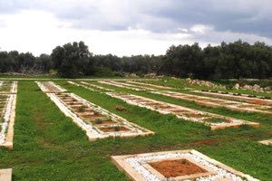 χλωρίδα - το πάρκο του Π.Κ.