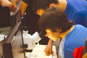 Βραδιά του Ερευνητή