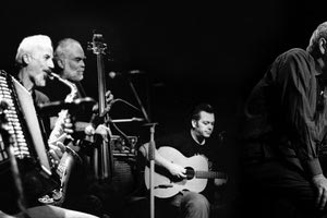 ΧΕΙΜΕΡΙΝΟΙ ΚΟΛΥΜΒΗΤΕΣ