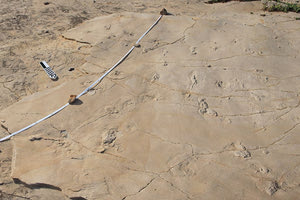 Στην Κρήτη οι αρχαιότερες πατημασιές του ανθρώπινου είδους