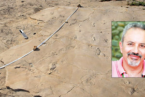 Χαράλαμπος Φασουλάς: ΜΙΑ ΣΗΜΑΝΤΙΚΗ ΕΡΕΥΝΑ ΠΟΥ ΕΓΙΝΕ ΔΗΜΟΣΙΕΥΣΗ, ΑΝ ΚΑΙ ΠΟΛΕΜΗΘΗΚΕ Στην Κρήτη οι αρχαιότερες πατημασιές του ανθρώπινου είδους