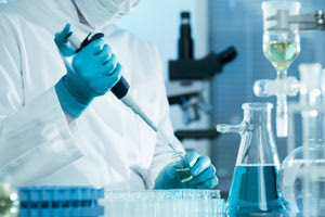 ερευνητές