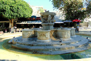 Τα Λιοντάρια σήμερα