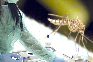 ιός του Δυτικού Νείλου