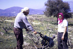 ΦΩΤΟ ΗΜΕΡΑΣ: Όταν ξεκίνησαν τα σκαφτικά...