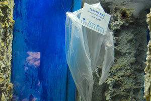 θαλάσσιας ρύπανση: Περισσότερα τα πλαστικά από τα... ψάρια