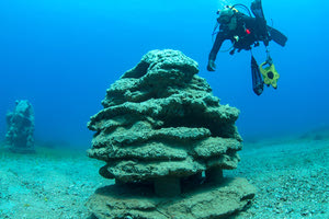 Ειδική συνάντηση για τον υποθαλάσσιο θόρυβο