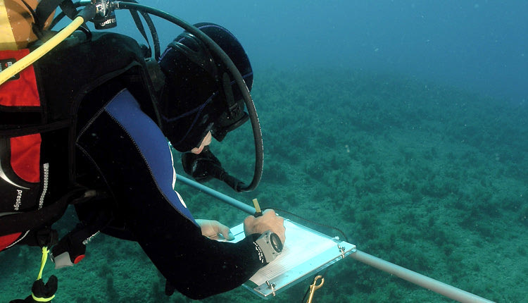 ΙΘΑΒΒΥΚ – ΕΛΚΕΘΕ