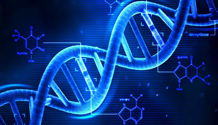 DNA