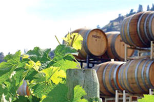 Διαγωνισμός Χωρικής Οινοποίησης