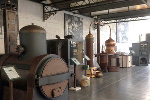 «Η πόλη ως μέσο περιβαλλοντικής εκπαίδευσης» είναι το θέμα του σεμιναρίου