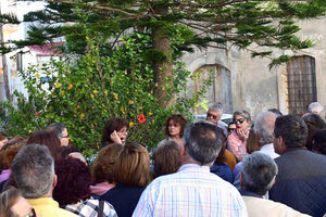 Δωρεάν ξεναγήσεις