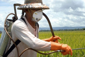 Πληγή για τη Μεσσαρά η χρήση φυτοφαρμάκων