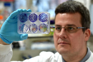 ΔΗΜΗΤΡΗΣ ΜΑΥΡΟΥΔΗΣ