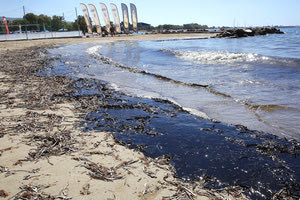 πετρελαιοκηλίδα