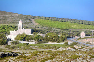 ΜΟΝΗ ΤΟΠΛΟΥ