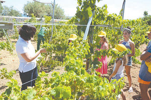 Η TUI εκπαιδεύει τους παραγωγούς!