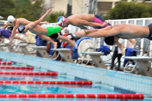 KΟΛΥΜΒΗΣΗ: Ημερίδα από τα Δελφίνια