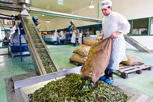 ελαιουργειο