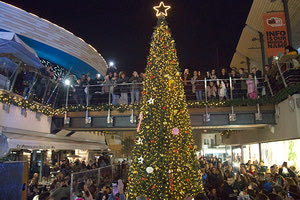 ΦΩΤΑΓΩΓΗΘΗΚΕ ΜΕ ΜΕΓΑΛΗ ΕΠΙΤΥΧΙΑ ΤΟ ΧΡΙΣΤΟΥΓΕΝΝΙΑΤΙΚΟ ΔΕΝΤΡΟ στο Talos Plaza