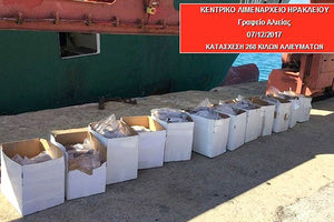 δεκάδες κιλά μπακαλιάρου που κατάσχεσαν οι λιμενικοί άνδρες από σκάφος.