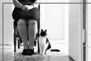 Οι εκδηλώσεις του αφιέρωματος-φεστιβάλ για την τρίτη ηλικία με τίτλο «Από Γενιά σε Γενιά…»