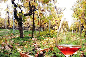 κρητικά κρασιά