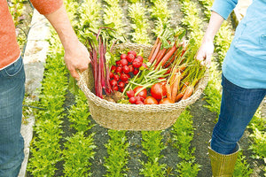 αγροδιατροφη