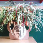 Δείτε όλα τα άρθρα από το χρήστη Ελένη Μανιωράκη