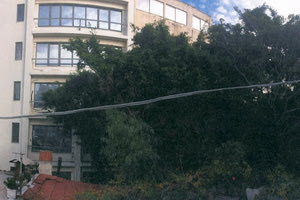 Δεν είναι πρωτότυπο για την πόλη αυτή, που ο καθένας κάνει ό,τι θέλει. Αλλά να δεις ένα… καλώδιο να υπερίπταται από το σπίτι και τον κήπο σου δεν είναι λίγο!