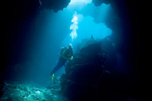 δύτες του Συλλόγου «Φίλοι του Βυθού».