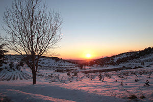 χιονισμένα