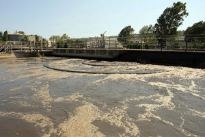 Βιολογικός Φοινικιά