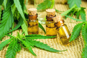 Η κάνναβη στην υπηρεσία ιατρικής και βιομηχανίας