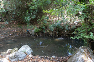 ΣΤΟ ΦΑΡΑΓΓΙ ΒΕΝΕΡΑΤΟΥ: τρέχουν τα λύματα