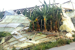 Τα μποφόρ έπληξαν τα θερμοκήπια