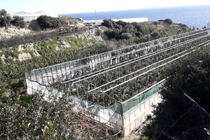 Εικόνες καταστροφής στη Βιάννο