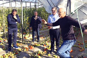 Για έναν μήνα κηρύχθηκαν σε κατάσταση έκτακτης ανάγκης οι περιοχές Βιάννου, Ιεράπετρας και Σητείας, που επλήγησαν από τη σφοδρή ανεμοθύελλα των προηγούμενων ημερών.