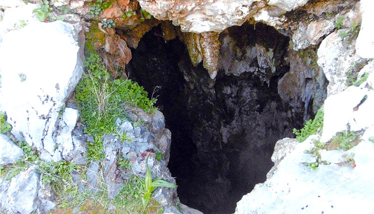 ασυνείδητος πέταξε τα κουτάβια σε βάραθρο βάθους 15 μέτρων