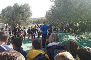 Οι μαθητές ενημερώθηκαν για το ελαιόλαδο